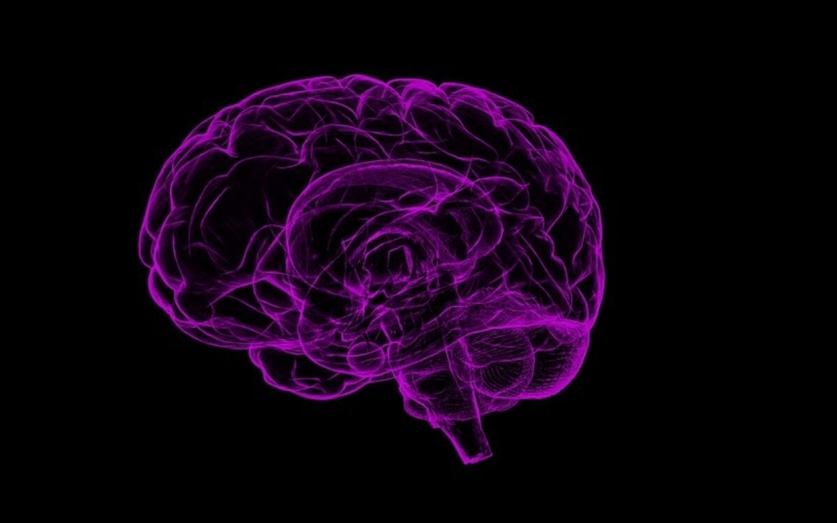 1521206692brain 1787622 960 720 1521206692brain 1787622 960 720